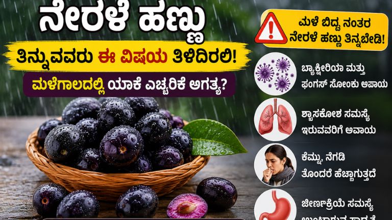 "ಮಳೆಗಾಲದಲ್ಲಿ ನೇರಳೆ ಹಣ್ಣು ತಿನ್ನುವ ಮುನ್ನ ಇದನ್ನು ತಿಳಿಯಿರಿ!"