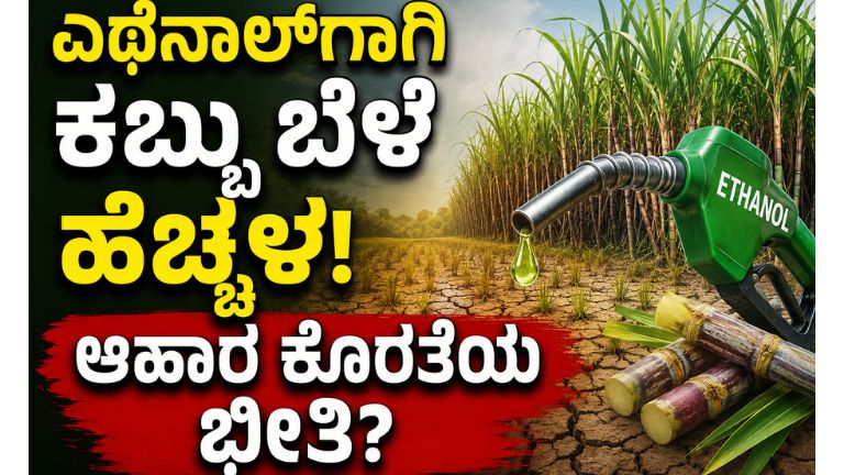 ಎಥೆನಾಲ್‌ಗಾಗಿ ಕಬ್ಬು ಬೆಳೆ ಹೆಚ್ಚಳ: ಆಹಾರ ಕೊರತೆಯ ಭೀತಿ ಹೆಚ್ಚಿಸಿದ ಖಾರಿಫ್ ಬೆಳೆ ಕುಸಿತ